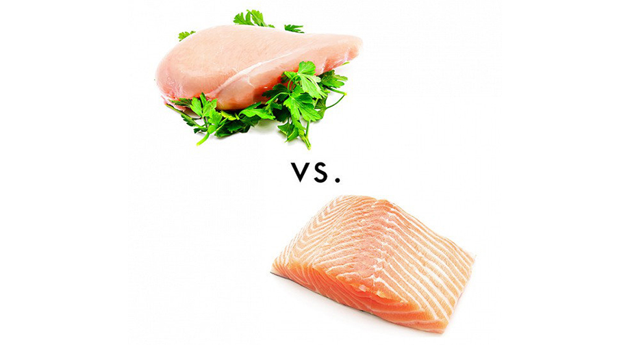 Salmon vs Chicken Breast